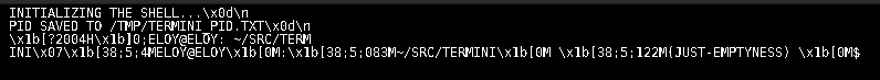 Terminal emulator with ANSI escape sequences